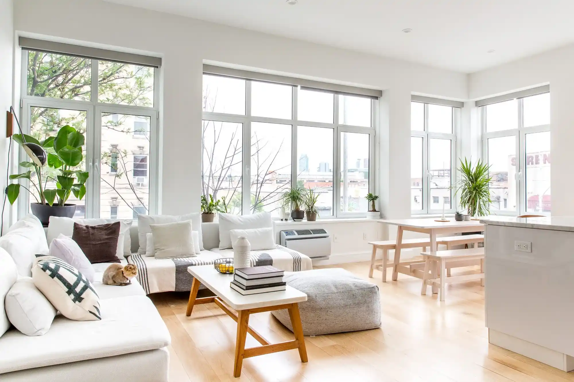Spotless and bright open-concept living space in a Bal Harbour condo following a professional house cleaning service.